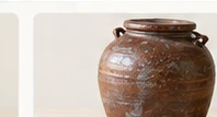 Chum miệng rộng nền nâu – hình minh họa